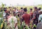 লালমনিরহাটে ৩৩ জনকে পুশইনের চেষ্টা বিএসএফের, রুখে দিলো বিজিবি
