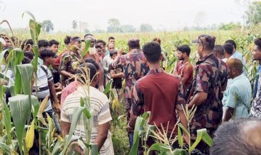লালমনিরহাটে ৩৩ জনকে পুশইনের চেষ্টা বিএসএফের, রুখে দিলো বিজিবি