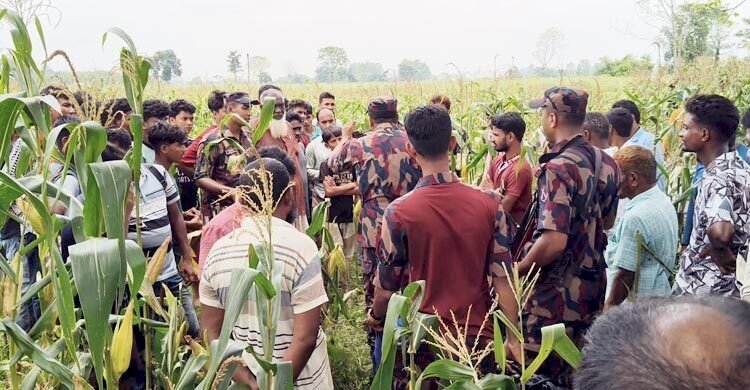 লালমনিরহাটে ৩৩ জনকে পুশইনের চেষ্টা বিএসএফের, রুখে দিলো বিজিবি