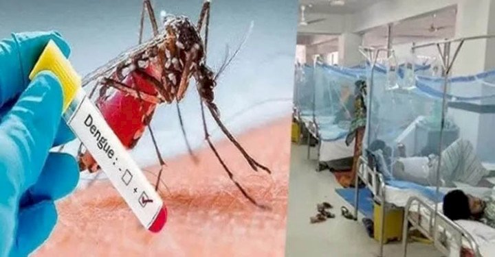 সিলেটে ডেঙ্গুতে প্রাণ গেল ৩ জনের, আক্রান্ত ৩৪৮